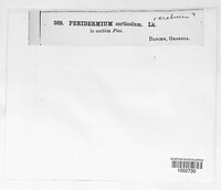 Image Associated With the Occurence